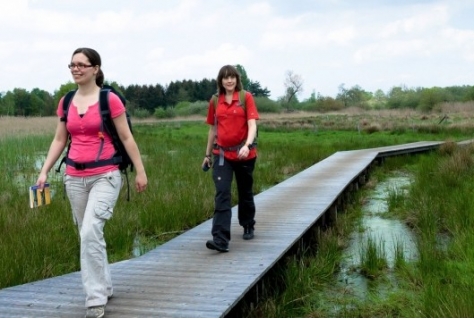 De route naar een recreatief landschap