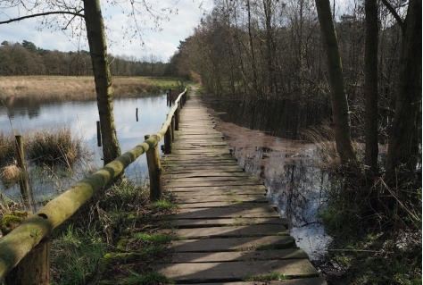 Brabant gaat met innovatief monitoringssysteem en de Wandelstarter recreatie beter spreiden