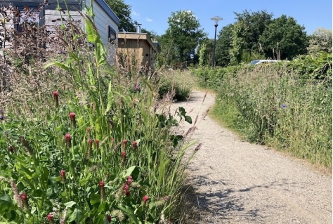 Vakantieparken dragen bij aan natuur- en waterbeheer op de Utrechtse Heuvelrug