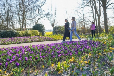 Keukenhof open tot 11 mei 2025