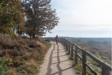 VeluuweAlliantie video over balans in natuur en toerisme