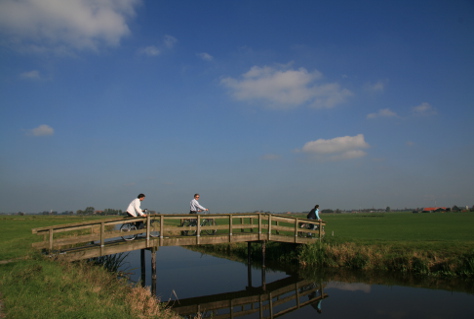 Groene snelweg