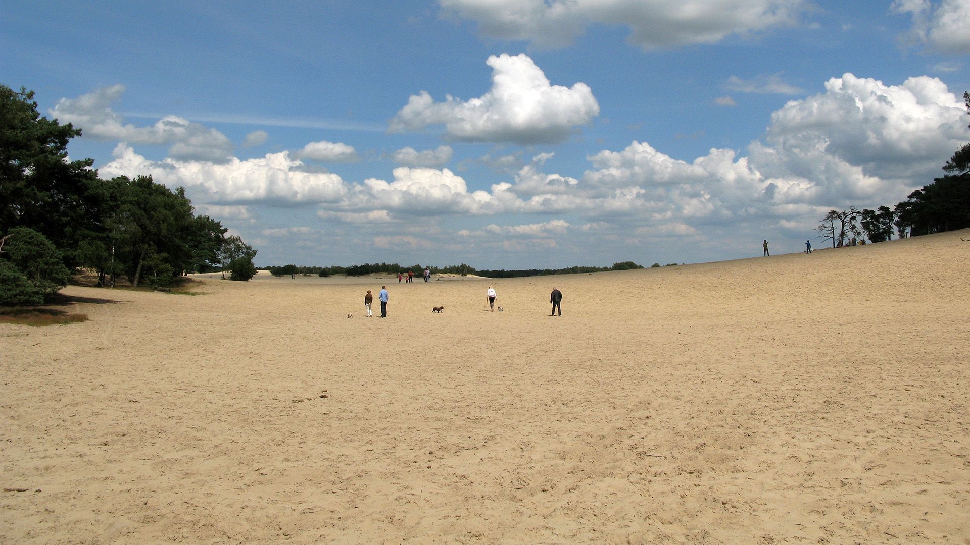 De Loonse en Drunense Duinen: ruimte voor recreatie en rust.