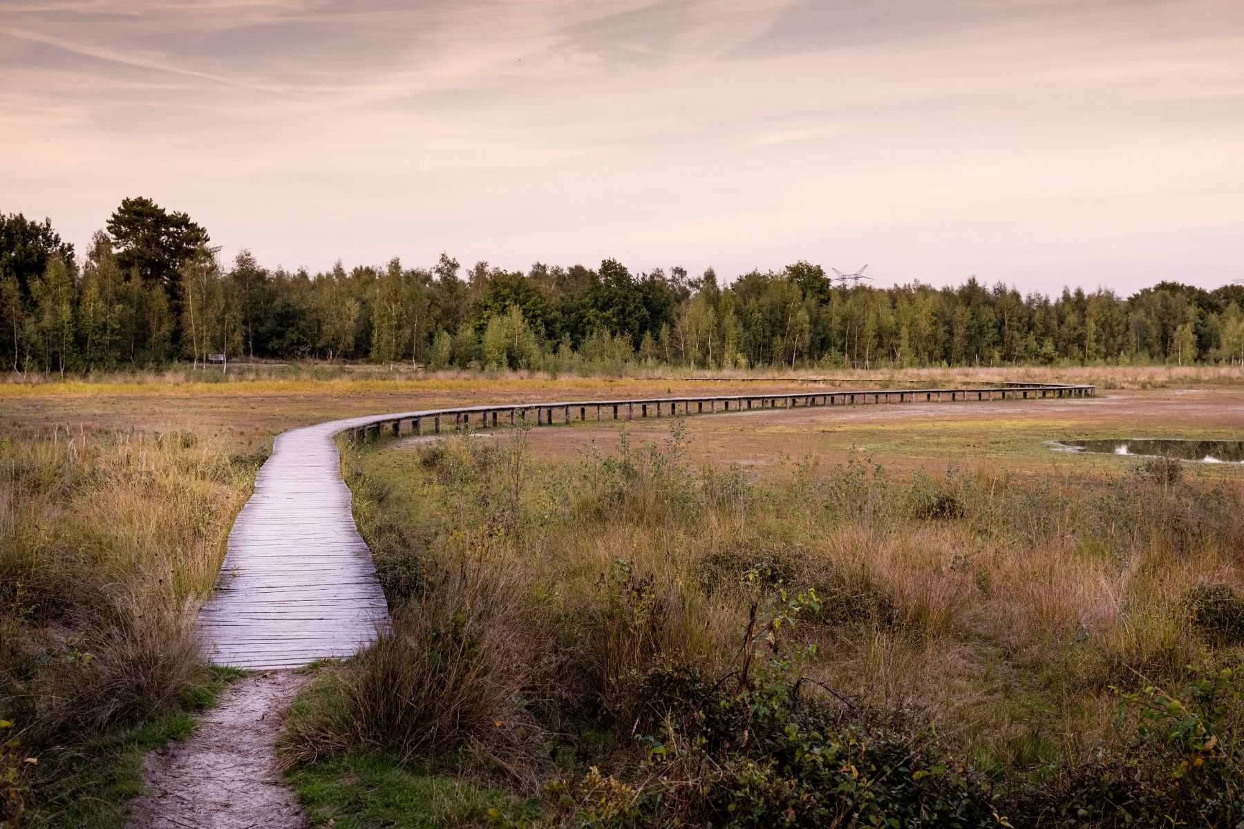 Het vlonderpad over een van de vennen in Huis ter Heide is een verborgen parel in Loon op Zand.