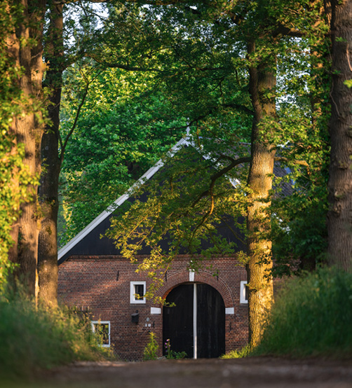 Achterhoek.