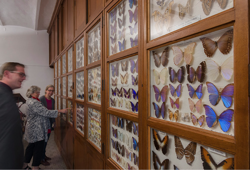 Het Missiemuseum met een unieke verzameling voorwerpen, opgezette dieren en kunstvoorwerpen uit alle windstreken.