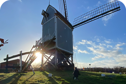 Markant punt bij Zundert, de Akkermolen.